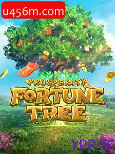 Explorando o Fascinante Mundo de ProsperityFortuneTree com 456m bet